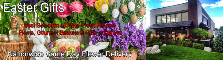 Easter Flowers & Gifts