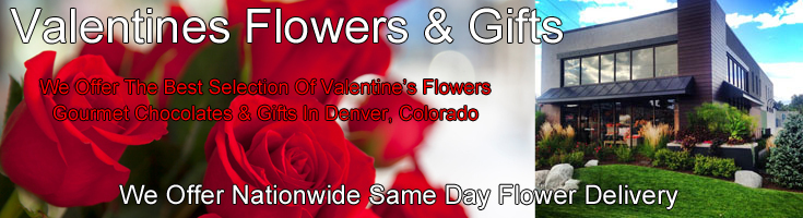 Valentine's Day Flowers & Gifts