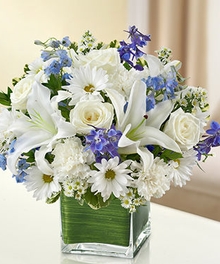 Blue & White Sympathy Collection