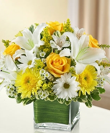 Yellow & White Sympathy Collection